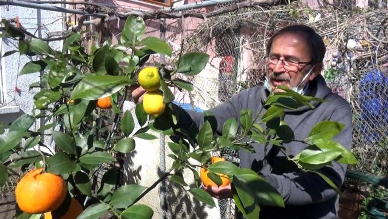 - Askıda portakal uygulamasıyla sosyal mesaj veriyor