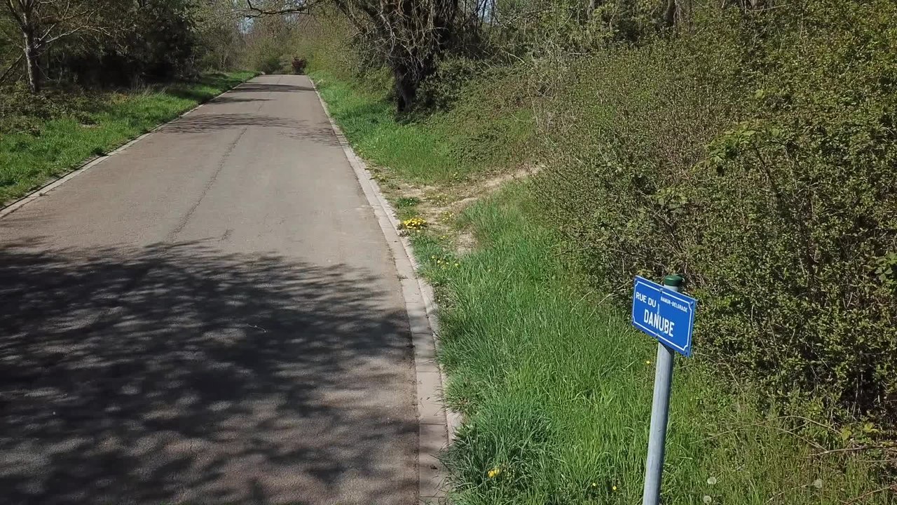 Projet de construction de maisons et d'appartement à Belgrade ( Namur )