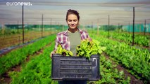 Élevage et bien-être animal : des fermes européennes exemplaires