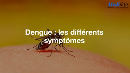 Dengue : les différents symptômes
