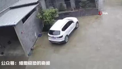 Son dakika haberi: - Çin'de bizonun saldırısına uğrayan çocuk dehşeti yaşadı