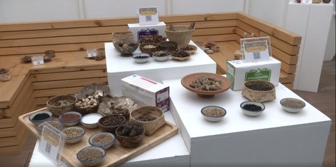 ข่าวค่ำ ช่วงที่ 3 วันอังคาร 27 เมษายน 2564