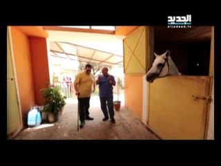 إربت تنحل - بتصير يا طارق بتصير