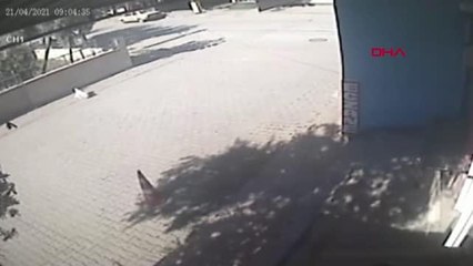 ADANA BİSİKLETLİNİN YOLA ATTIĞI TORBADAKİ KÖPEĞİ OTOMOBİL EZDİ