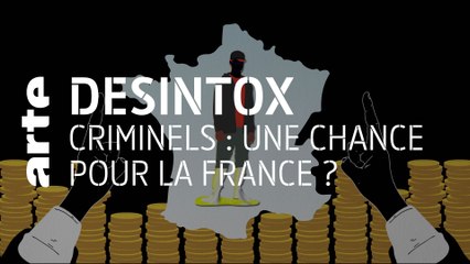 Criminels : une chance pour la France ? | 27/04/2021 | Désintox | ARTE