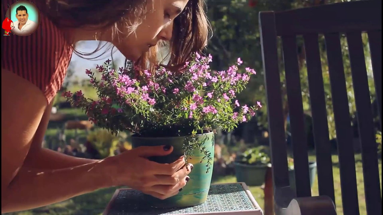 4K Ultra HD#Meditation Music,Unbelievable Beauty,  Soothing Music,Yoga Music ,study,sleep