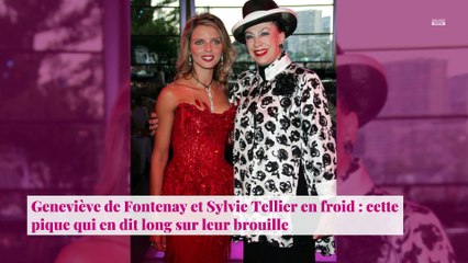 Geneviève de Fontenay et Sylvie Tellier en froid : cette pique qui en dit long sur leur brouille