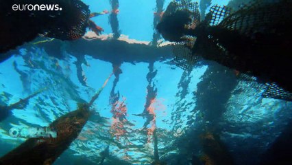 Pêche et aquaculture : la chasse aux produits dérivés du pétrole