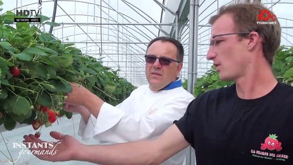 Cocktail de fraises, façon smoothie by Jackie Masse