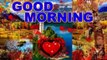 Good morning video | good morning messages | good morning loves | daily morning wishes | morning greetings | special wishes
