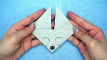 How To Easily Make An 'Origami Fox Face'. Simple Origami Animal Tutorial For Beginners