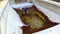 How Pools Are Professionally Deep Cleaned