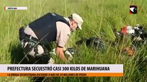 Prefectura secuestró casi 300 kilos de marihuana