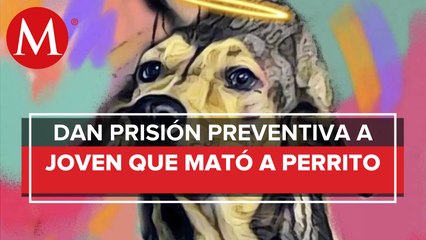 En Sinaloa, vinculan a proceso a presunto asesino de perrito Rodolfo Corazón