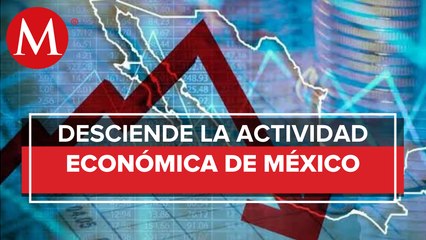 Actividad económica cayó 0 3% mensual en febrero