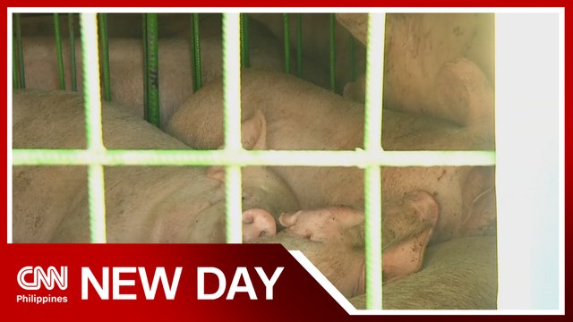 Duterte's economic team defends pork importation policy