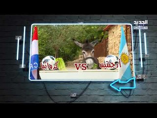 هل صدقت توقعات الحمار "طمبوز" لمباراة اليوم بين الدنمارك وأستراليا؟