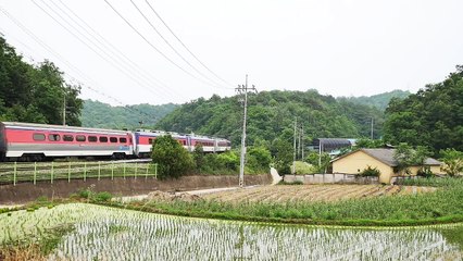 Trem-de-todo-o-mundo-Train-from-all-over-the-world 02