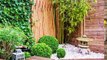 50+ Ideas Planning And Diy Backyard Garden With Bamboo Trees To Create Green Space, Relax