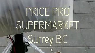 Wonderful customer service at Price Pro grocery market, in Surrey BC Canada, Sandra, electric scooter grocery getter,    PRICE PRO_nSUPERMARKET_nSurrey BC