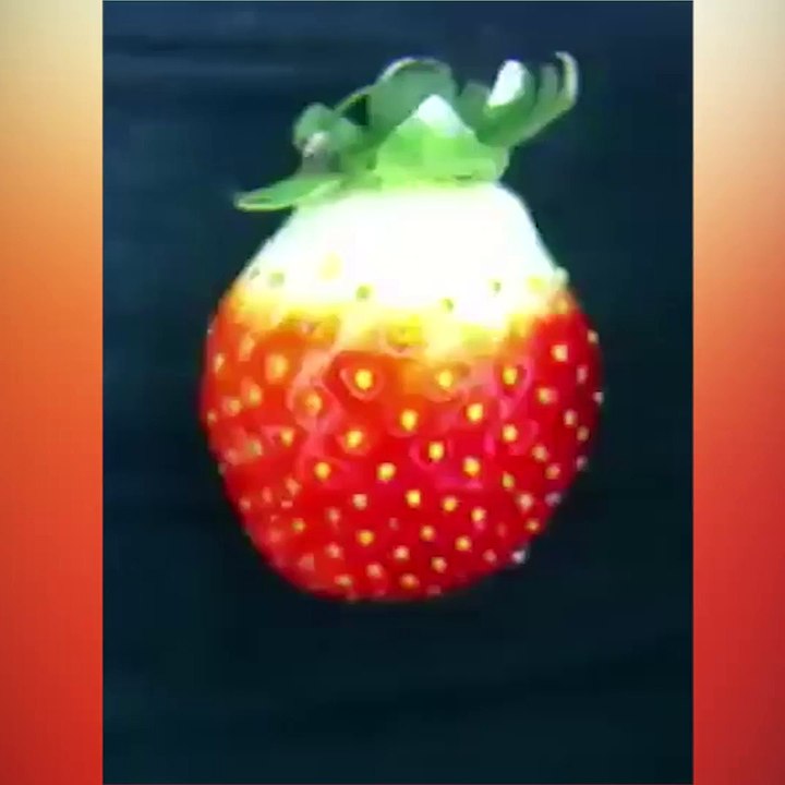 Bu videoyu izledikten sonra meyveleri yıkamadan yemeyeceksiniz