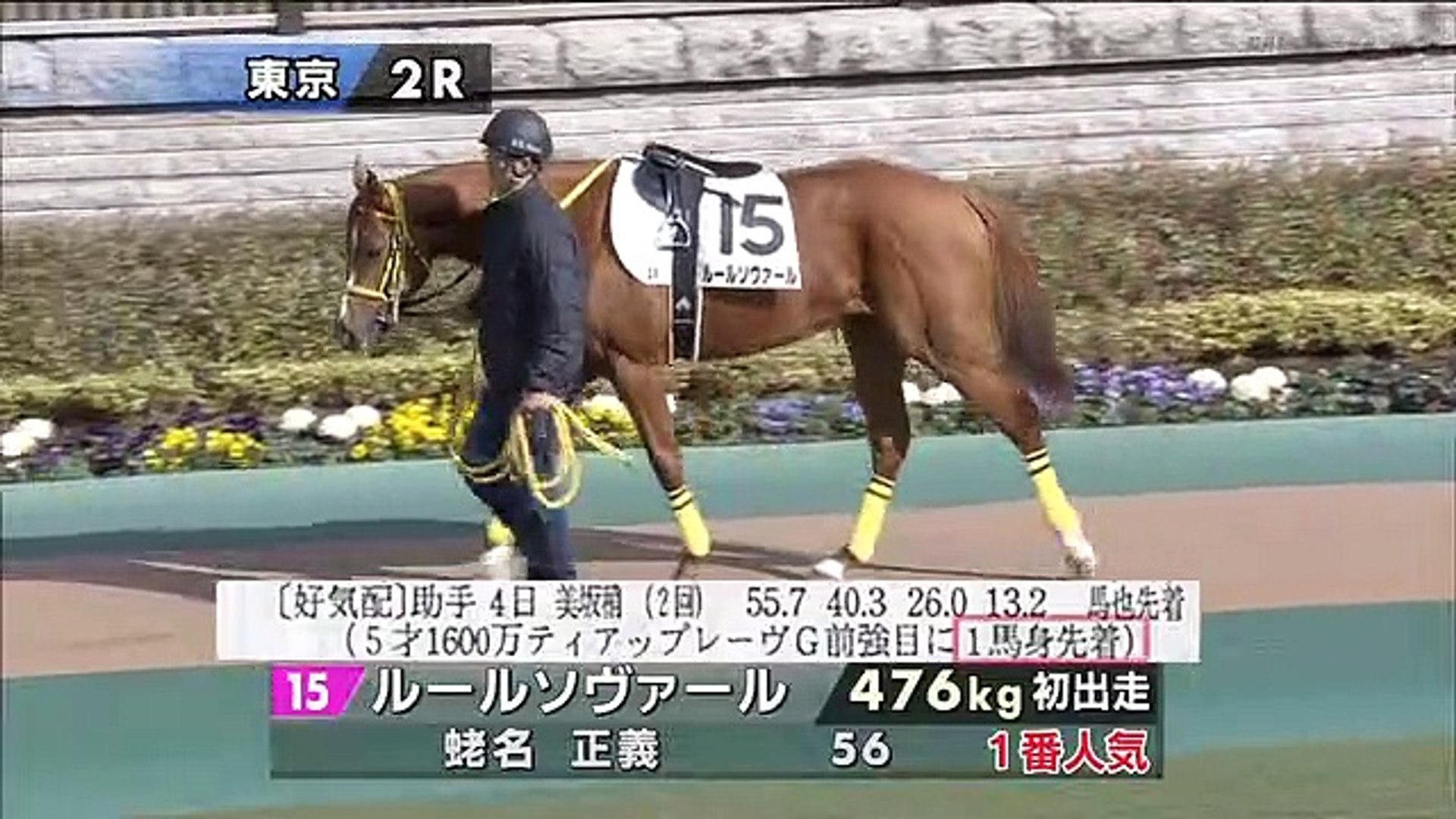 競馬場の達人 314 羽川豊 動画 Dailymotion