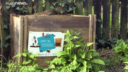 شاهد: مشروع يهدف إلى بستنة حدائق على أطراف خط المترو في لندن