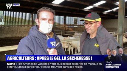 En Vendée, les agriculteurs se désolent de la sécheresse des sols qui compromettent leurs cultures