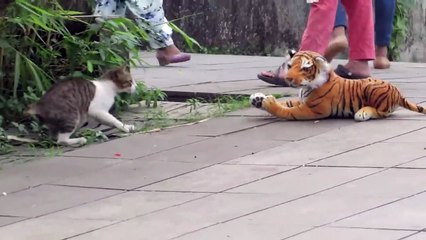 Fake Tiger Vs Cat Prank Video || Try Not To Laugh Challenge 2020 || Funny Challenge Videos