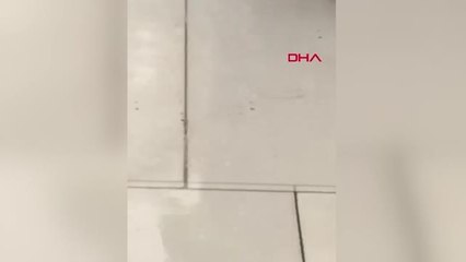 Mekke'ye ceviz büyüklüğünde dolu yağdı