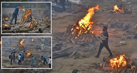Tüyler ürperten görüntüler: Toplu halde yakmaya devam ediyorlar!