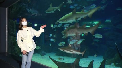 [날씨] 도심 속 바다 체험...내일 밤사이 봄비·황사 해소 / YTN