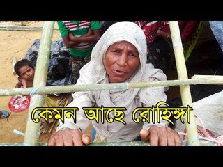 কেমন আছে রোহিঙ্গা | Present Situation of Rohingya