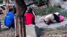 我只是个小小搬运工