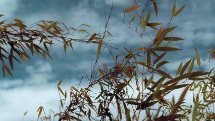 Working video #1 for recommendations