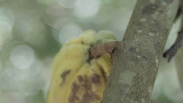 La FMBBVA, de nuevo líder internacional en contribución al desarrollo, tras la Fundación Bill & Melinda Gates