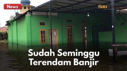 SUDAH RATUSAN KALI DIDATANGI BANJIR !! WARGA BERHARAP PERMINTAAN MEREKA DI DENGAR PEMKO PEKANBARU !!