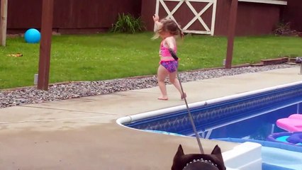 Funny video _  Animals Trolling Babies in the zoo