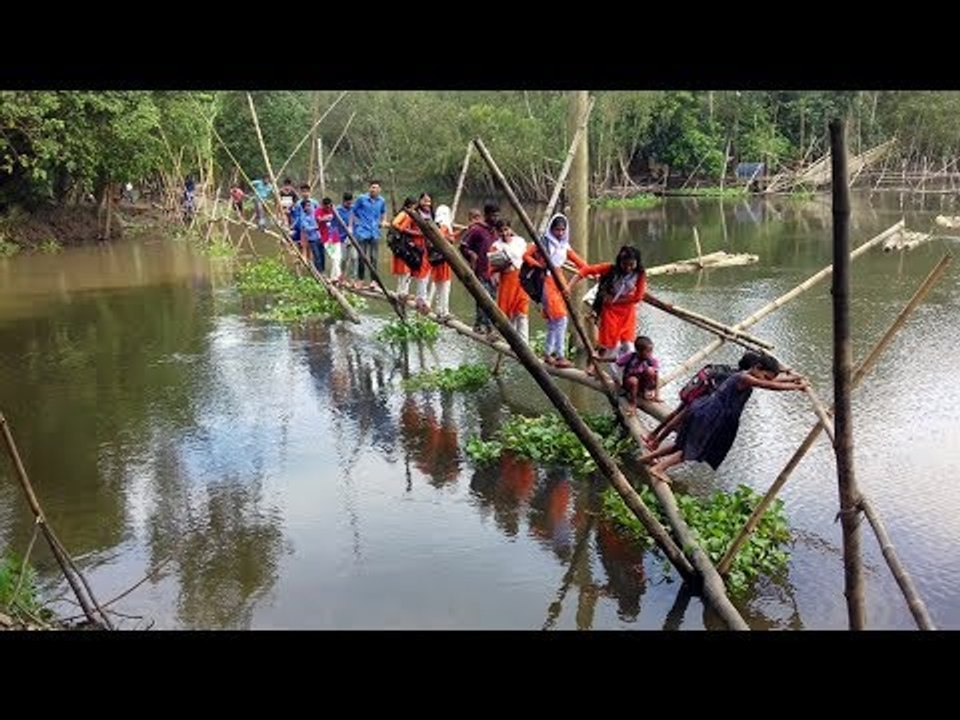 বাঁশের সাঁকোয় ছাত্র-ছাত্রী ঝুঁকিপূর্ণ পারাপার | Risky Crossing of Students in Bamboo Culvert