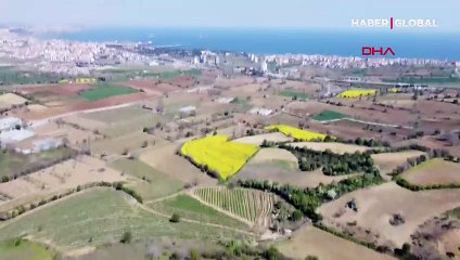 Trakya'da fırsatçılar harekete geçti!  'Bill Gates'e komşu olacaksınız' deyip satmaya başladılar