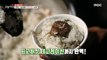 [TASTY] A nutritious meal made with Ingredients from the mountains, 생방송 오늘 저녁 210428