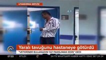 Yaralı tavuğunu hastaneye götüren koca yürekli adam