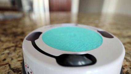 My Husky Destroys New Cat Toy..