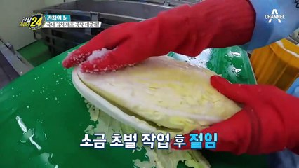 국민 필수 반찬 [김치], 청결 제일! 국내 김치 제조 현장으로 가다!