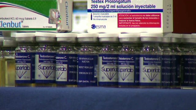 Desmantelado laboratorio clandestino de anabolizantes más activo de Europa