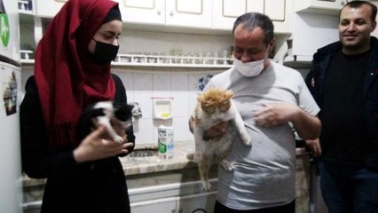 SU KUYUSUNA DÜŞEN 2 YAVRU KEDİ KURTARILDI