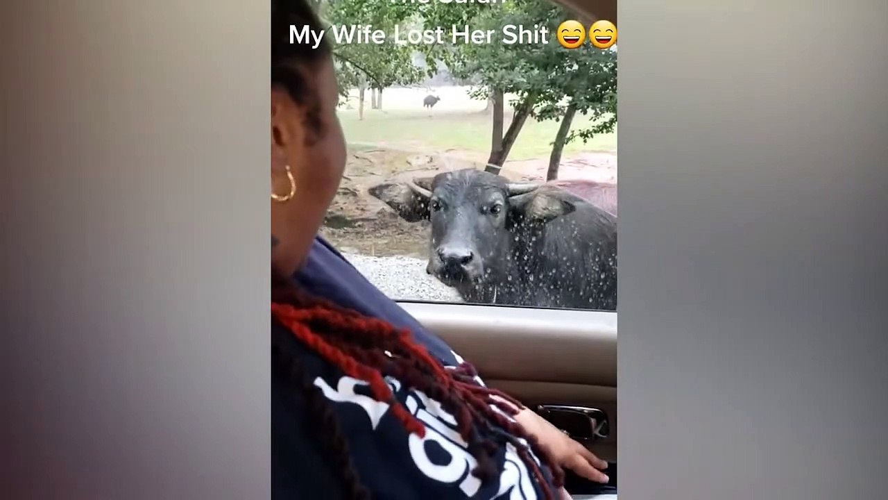 Top 300 Wtf & Funny Moments In Among Us