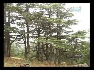 صورة ونغمة -   الباروك