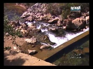صورة ونغمة  - اللويزة