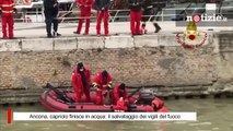 Ancona, capriolo cade nel fiume e finisce in acqua: l'eroico salvataggio dei vigili del fuoco